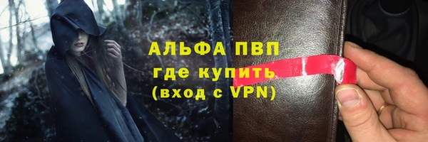 гидра Белокуриха