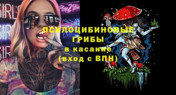 гидра Белокуриха