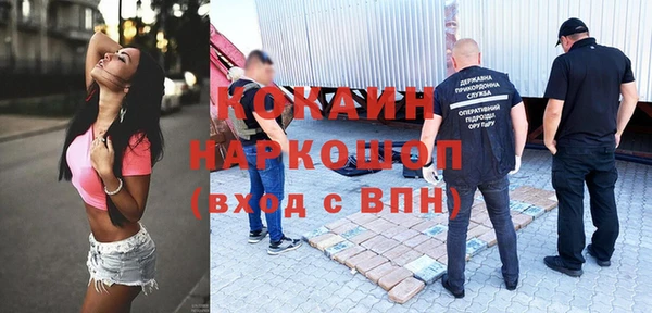 гидра Белокуриха