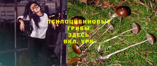 гидра Белокуриха