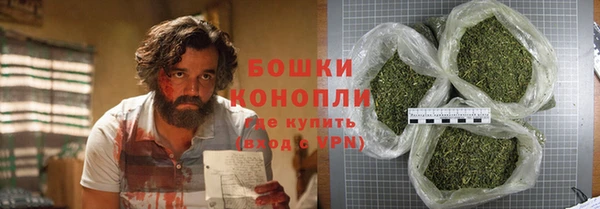 гидра Белокуриха