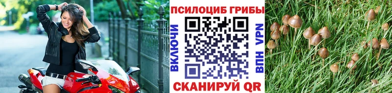 Псилоцибиновые грибы Psilocybine cubensis  Нижняя Тура 